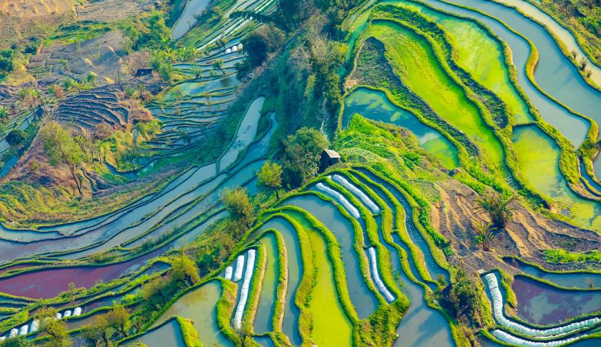 宝妈必备神器：临颍县产品视频拍摄轻松育儿好帮手